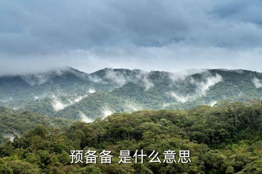 預(yù)備的意思，預(yù)備還是予備
