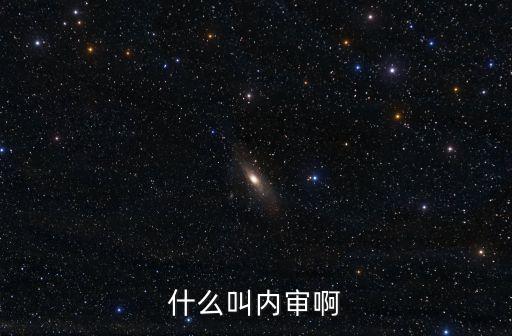 內(nèi)審，什么叫內(nèi)審啊