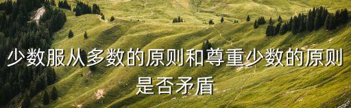少數(shù)服從多數(shù)原則，少數(shù)服從多數(shù)是對(duì)的嗎