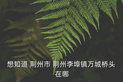 李埠鎮(zhèn)，想知道 荊州市 荊州李埠鎮(zhèn)萬城橋頭 在哪