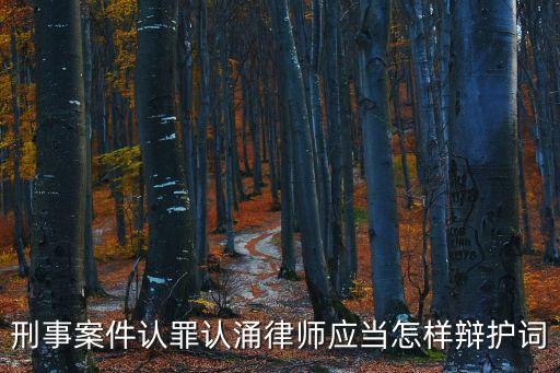 認罪認罰辯護詞，刑事案件認罪認罰后 律師應當怎樣辯護詞