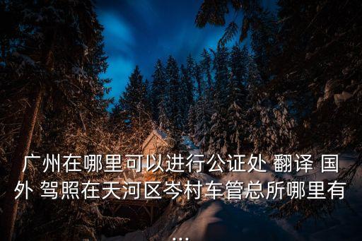 國外駕照翻譯