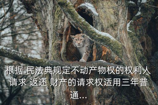 根據(jù) 民法典規(guī)定不動產(chǎn)物權的權利人請求 返還 財產(chǎn)的請求權適用三年普通...