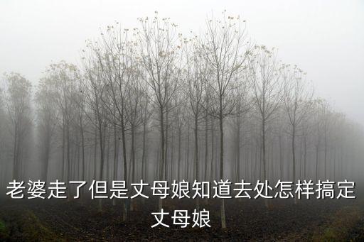 老婆走了但是丈母娘知道去處怎樣搞定丈母娘