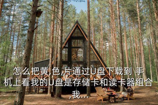 手機怎么看黃片