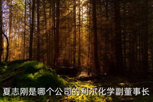 夏志剛，8090向前沖 夏志剛在某集說 韓劇是什么無腦女人看的 那整段話是