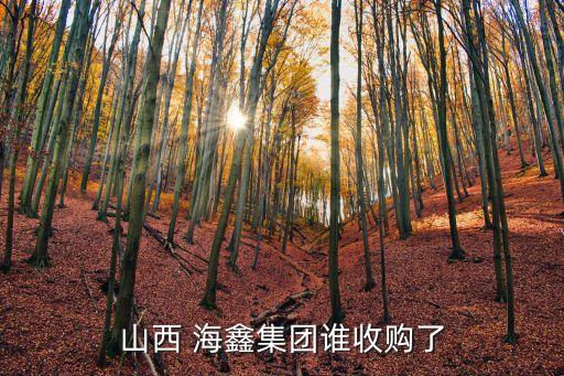 海鑫鋼鐵,山西建龍鋼鐵集團(tuán)與海鑫鋼鐵