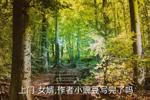  上門 女婿,作者小豌豆寫完了嗎