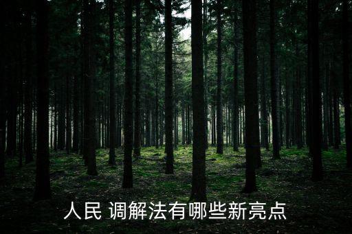 調(diào)解法