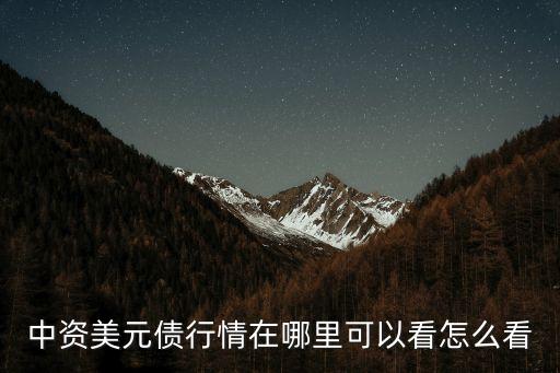 中資美元債行情在哪里可以看怎么看