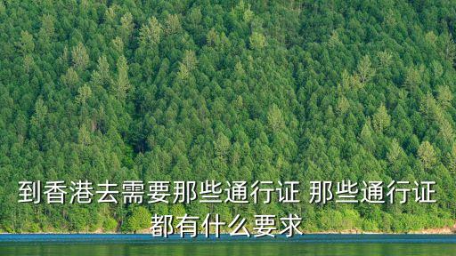到香港去需要那些通行證 那些通行證都有什么要求