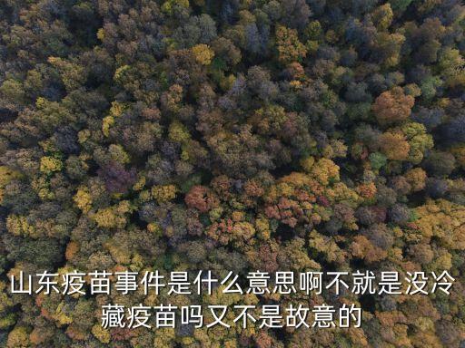 山東疫苗事件，山東疫苗事件50字