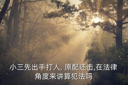 小三打原配,南充王府井小三打原配
