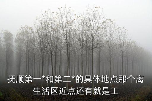 撫順第一*和第二*的具體地點那個離生活區(qū)近點還有就是工