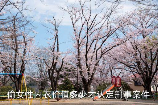偷內(nèi)衣，被偷內(nèi)衣可以報(bào)警嗎