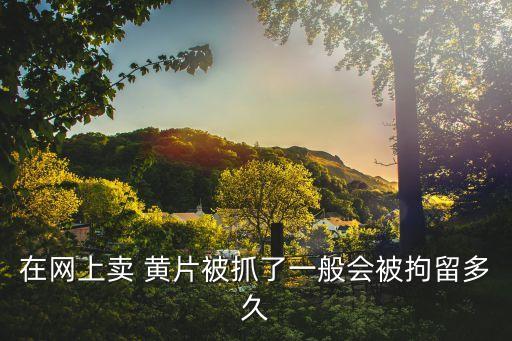 黃片廣告
