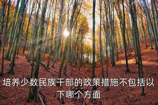 培養(yǎng)少數(shù)民族干部的政策措施不包括以下哪個(gè)方面