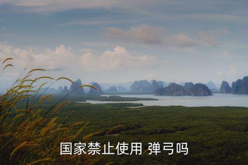 國家禁止使用 彈弓嗎