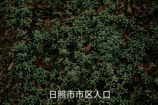 日照市人口，日照市人口多少