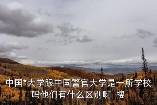 gongan，沈丘縣gongan局局長是何許人也