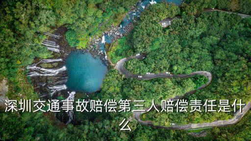 深圳交通事故賠償?shù)谌速r償責(zé)任是什么