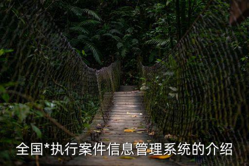 全國(guó)*執(zhí)行案件信息管理系統(tǒng)的介紹