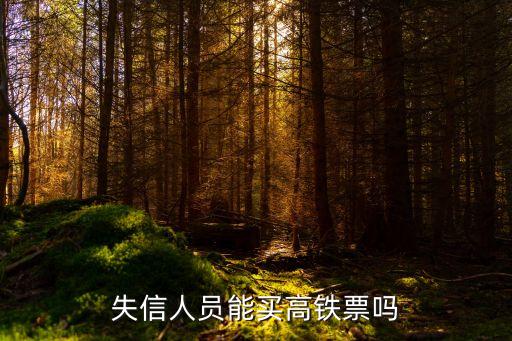失信人員能買高鐵票嗎