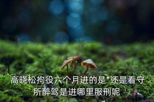 高曉松醉駕