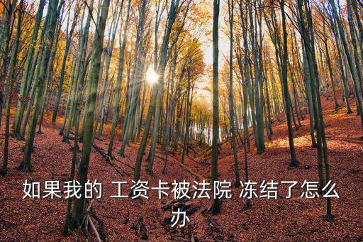 如果我的 工資卡被法院 凍結(jié)了怎么辦