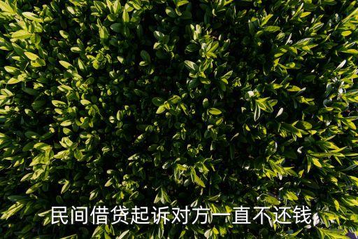 民間借款人無力償還借款時怎么辦,借款人無力償還借款時擔(dān)保人會影響征信嗎