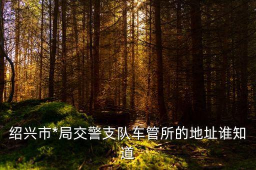 紹興市*局交警支隊(duì)車管所的地址誰知道