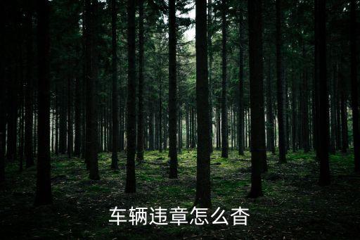 車輛違章怎么查，怎么樣查詢車輛違章