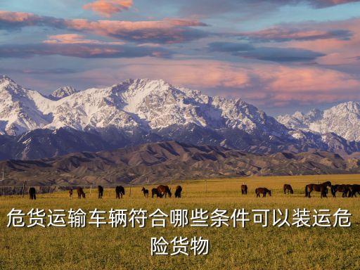 危險(xiǎn)貨物運(yùn)輸車(chē)，危貨運(yùn)輸車(chē)輛符合哪些條件可以裝運(yùn)危險(xiǎn)貨物