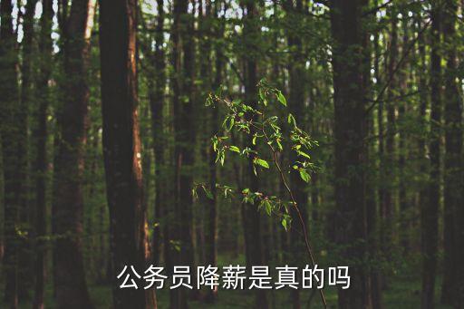  公務(wù)員降薪是真的嗎