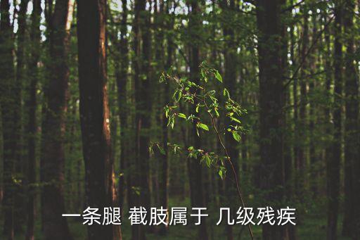 一條腿 截肢屬于 幾級(jí)殘疾