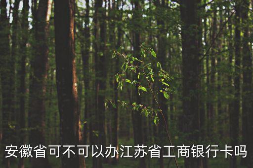 安徽省可不可以辦江蘇省工商銀行卡嗎