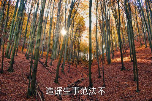 造謠生事范法不