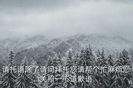 請(qǐng)托語(yǔ)除了請(qǐng)問(wèn)拜托您請(qǐng)幫個(gè)忙麻煩您關(guān)照一下道歉語(yǔ)
