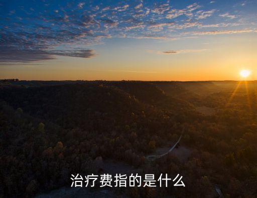 治療費(fèi)指的是什么