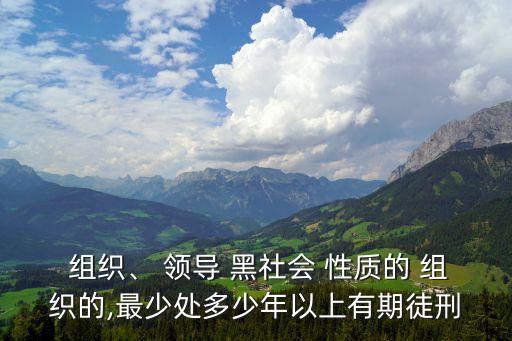 組織領(lǐng)導(dǎo)參加黑社會(huì)性質(zhì)組織罪
