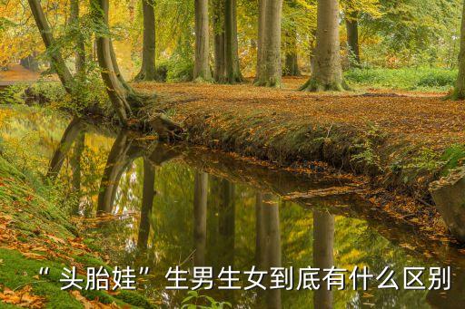 頭胎