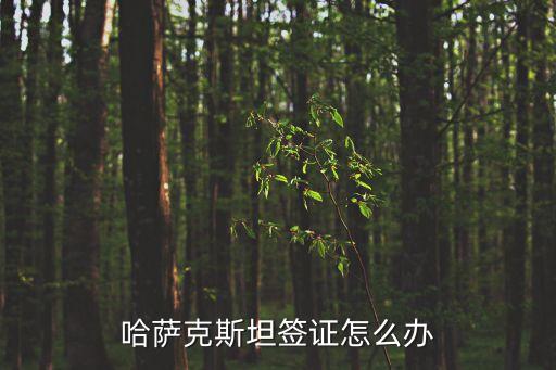 哈薩克斯坦簽證，哈薩克斯坦旅游簽證怎么辦理