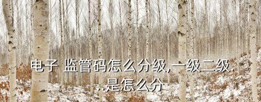  電子 監(jiān)管碼怎么分級(jí),一級(jí)二級(jí)...是怎么分