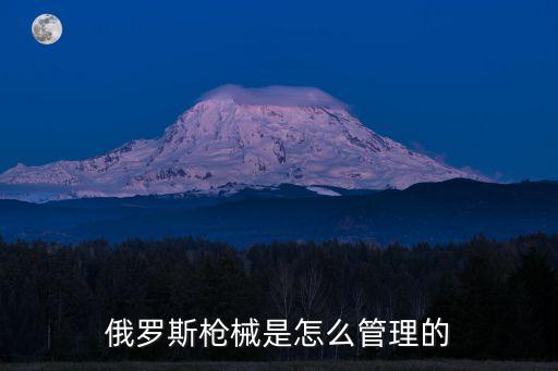 *管理，我國對于槍的管理是怎樣的有什么相關(guān)法律