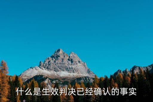 什么是生效判決已經(jīng)確認(rèn)的事實