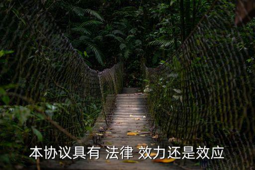 本協(xié)議具有 法律 效力還是效應