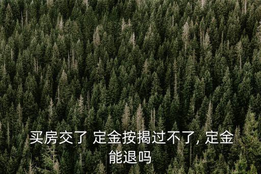  買(mǎi)房交了 定金按揭過(guò)不了, 定金能退嗎