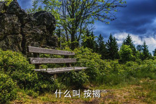 什么叫 按揭