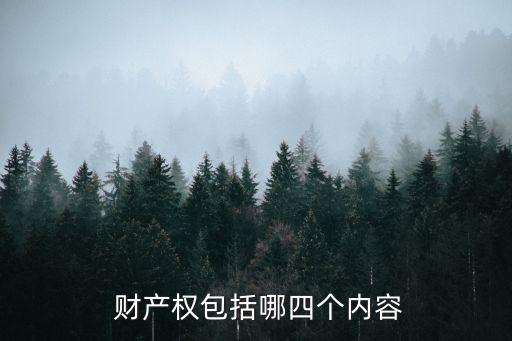 私有財(cái)產(chǎn)權(quán),根據(jù)我國(guó)憲法規(guī)定,下列關(guān)于私有財(cái)產(chǎn)權(quán)