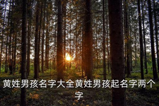 黃姓男孩名字大全黃姓男孩起名字兩個(gè)字